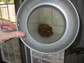 \"popcorn-roasting5sm.jpg\"